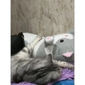 Обложка набора Малышонок