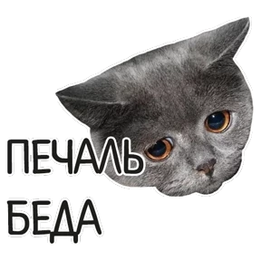 Стикер 7 из набора Мемасешная