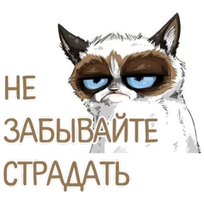 Стикер 18 из набора Мемасешная