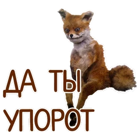 Стикер 26 из набора Мемасешная