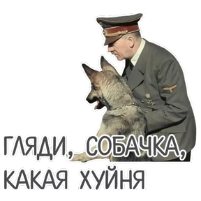 Стикер 51 из набора Мемасешная