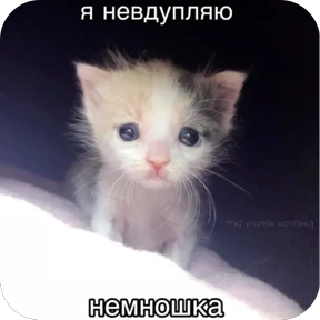 Стикер 11 из набора мемчики 2