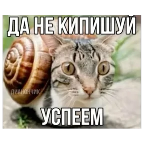 Стикер 13 из набора Мемчики 67