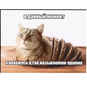 Стикер 15 из набора Мемчики 67
