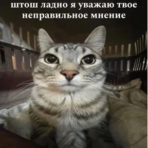 Стикер из набора Мемчики