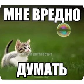 Стикер 15 из набора Мемчики