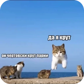 Стикер из набора мемные котики