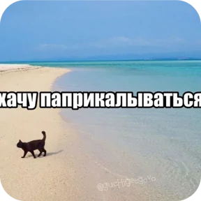 Стикер из набора мемные котики