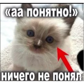 Стикер 7 из набора мемные котики