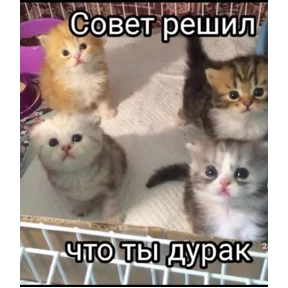 Стикер 2 из набора мемные котики