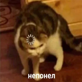 Стикер 5 из набора мемные котики