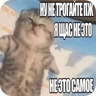 Обложка набора мемные котики