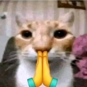 Стикер 10 из набора Мемные стикеры
