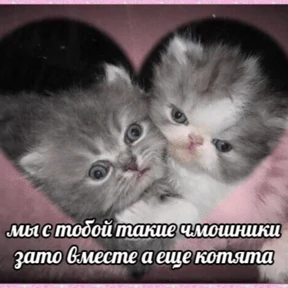 Стикер 47 из набора Мемные стикеры