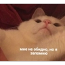 Обложка набора Мемс