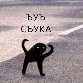 Стикер 7 из набора mkostelcev