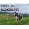 Обложка набора Мудик 2.0