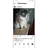 Обложка набора Муль