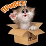 Обложка набора Мура