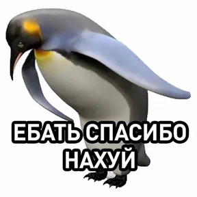 Стикер из набора my