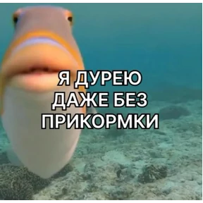Стикер 10 из набора на все случаи жизни