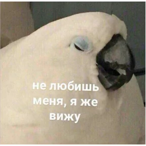 Стикер 15 из набора на все случаи жизни