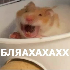 Стикер 24 из набора на все случаи жизни