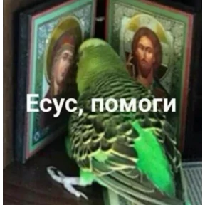 Стикер 35 из набора на все случаи жизни