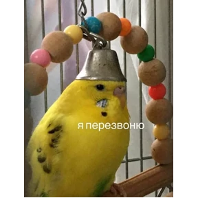Стикер 3 из набора На все случаи