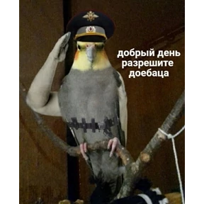 Стикер 31 из набора На все случаи