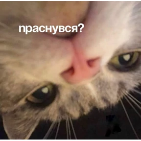 Стикер 32 из набора На все случаи