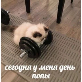 Стикер 33 из набора На все случаи