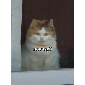Стикер 40 из набора На все случаи