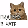 Обложка набора Не для всех