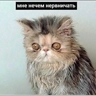 Обложка набора Нервничать
