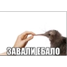 Обложка набора Нормальные стикеры в MAX