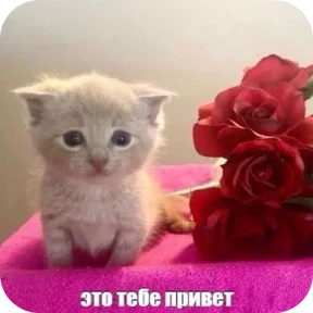 Стикер из набора Няняня