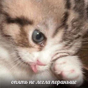 Стикер 49 из набора (^o^)