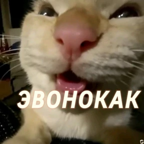 Стикер из набора Окак
