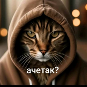 Стикер 7 из набора Окак