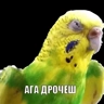 Обложка набора Озабочка