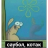 Обложка набора Пак