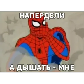Стикер 12 из набора Паучье мнение