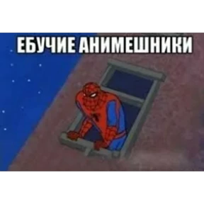 Стикер 15 из набора Паучье мнение