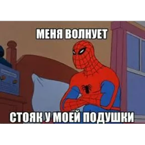 Стикер 26 из набора Паучье мнение