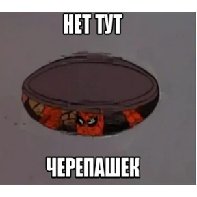 Стикер 31 из набора Паучье мнение