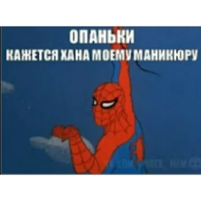 Стикер 43 из набора Паучье мнение