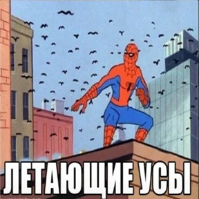 Стикер 82 из набора Паучье мнение