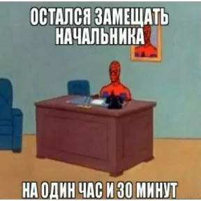 Стикер 87 из набора Паучье мнение