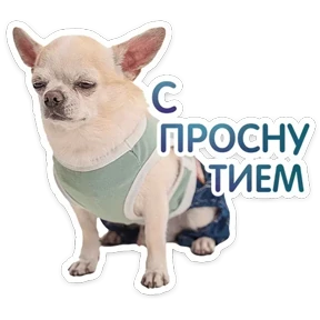 Стикер из набора Пёсели